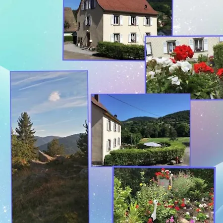 Appartement Alsace 3 étoiles Au Calme Avec Jardin Wifi 65m2 4per Breitenbach-Haut-Rhin