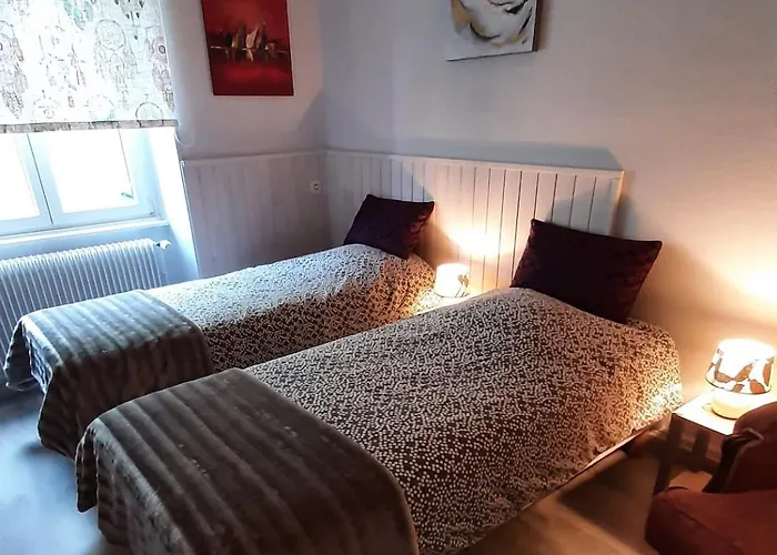 Alsace 3 étoiles Au Calme Avec Jardin Wifi 65m2 4per * Breitenbach-Haut-Rhin